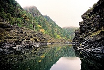 Rogue River Pool